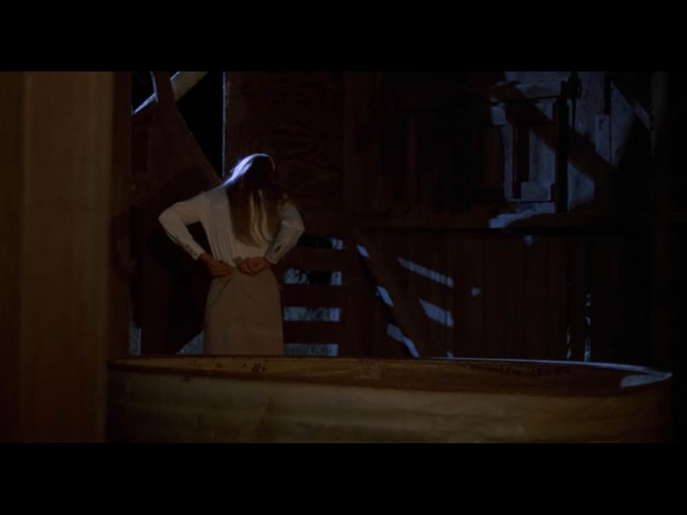 Macon County Line（原題）の画像