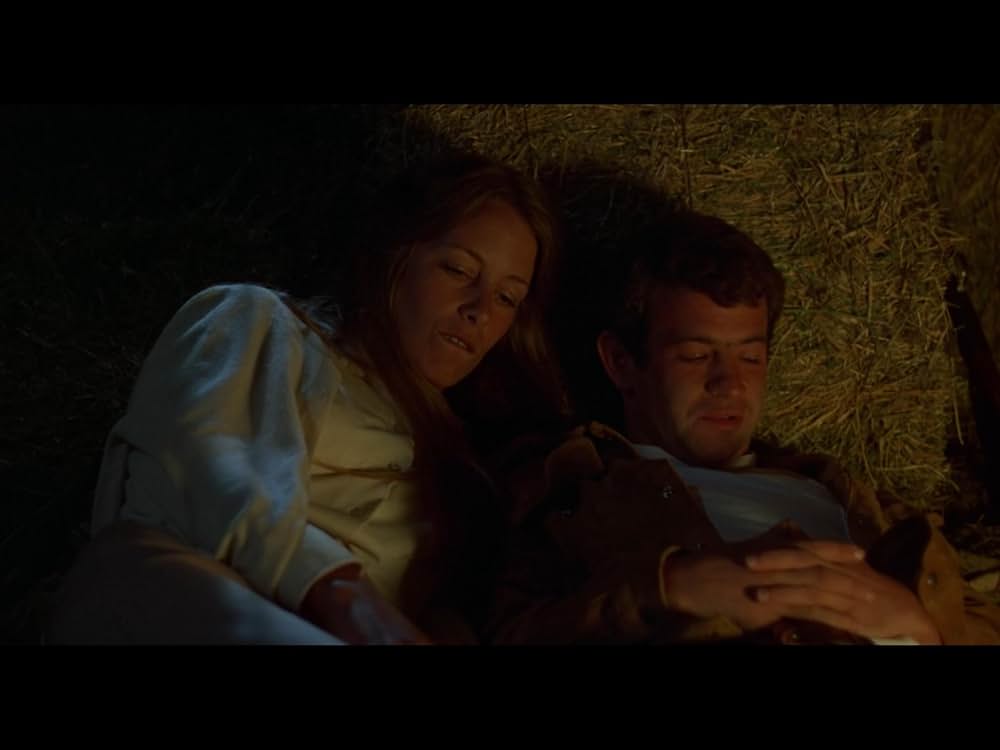 Macon County Line（原題）の画像