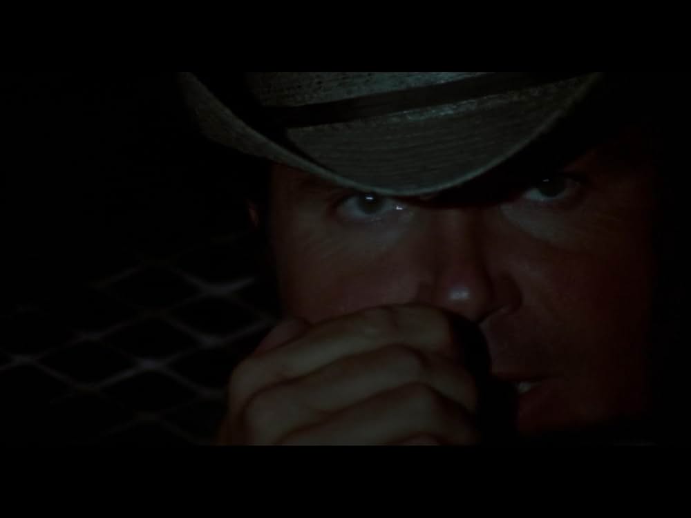 Macon County Line（原題）の画像