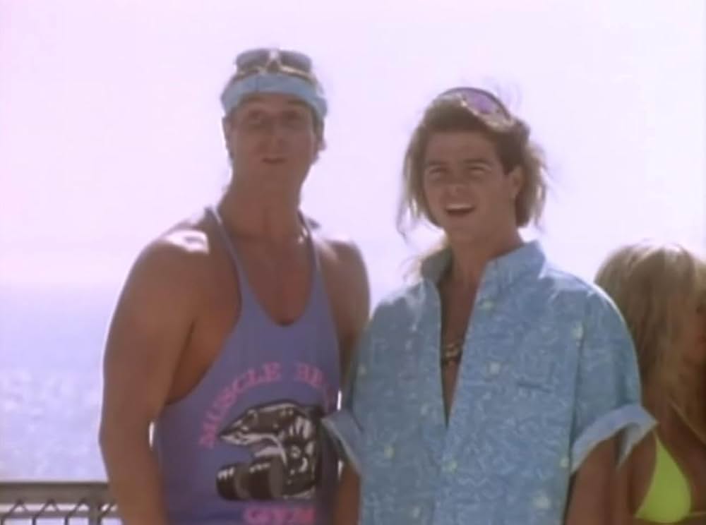 The Bikini Carwash Company（原題）の画像