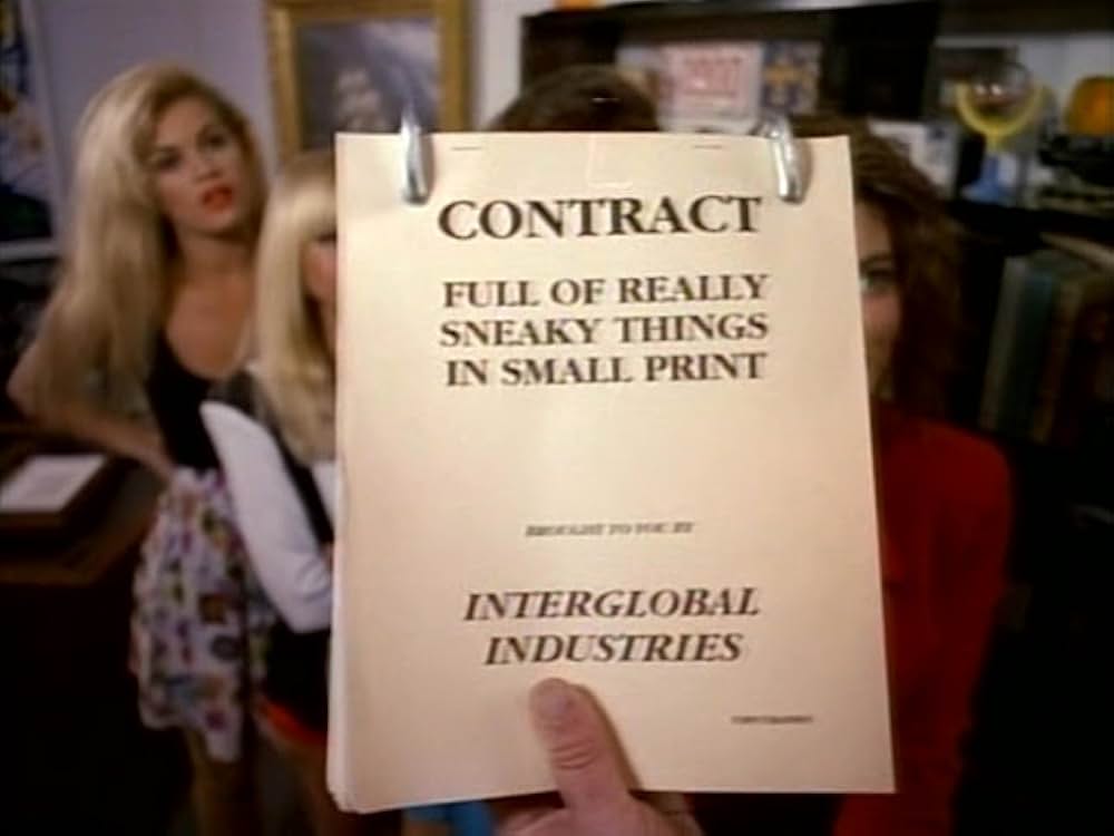 The Bikini Carwash Company II（原題）の画像