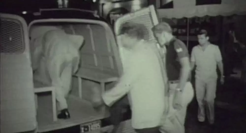 人生はビギナーズの画像