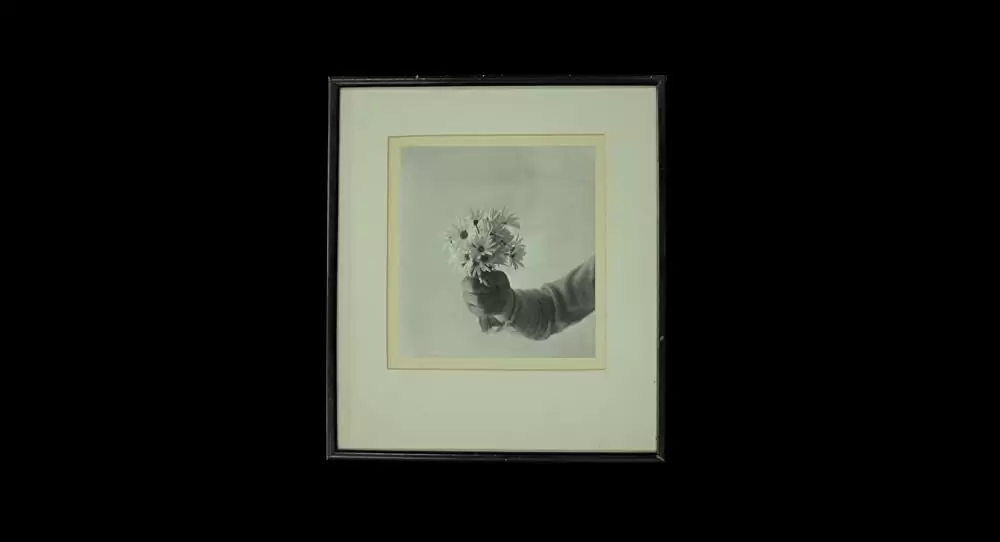 人生はビギナーズの画像