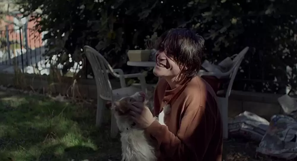 人生はビギナーズの画像