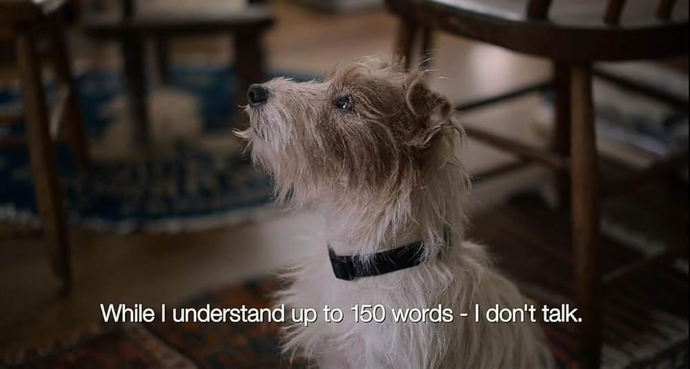 人生はビギナーズの画像