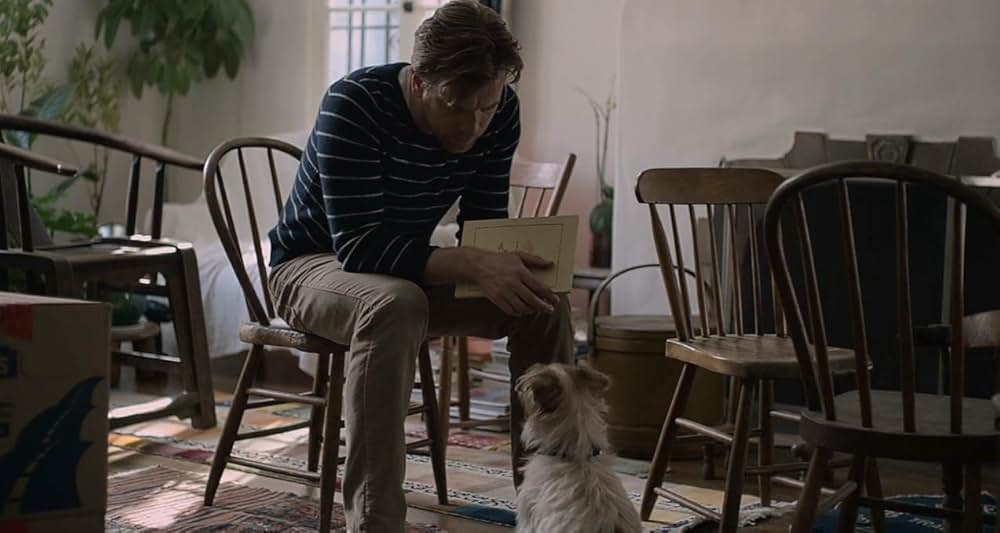 人生はビギナーズの画像