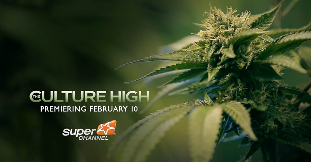 カルチャーハイの画像