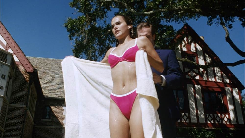 The Babysitter's Seduction（原題）の画像