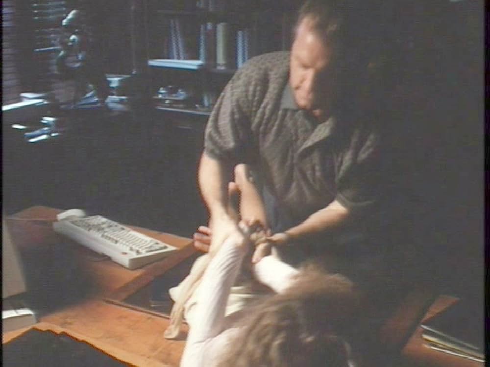 The Babysitter's Seduction（原題）の画像