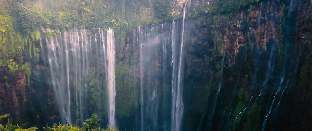 Red Sonja（原題）の画像