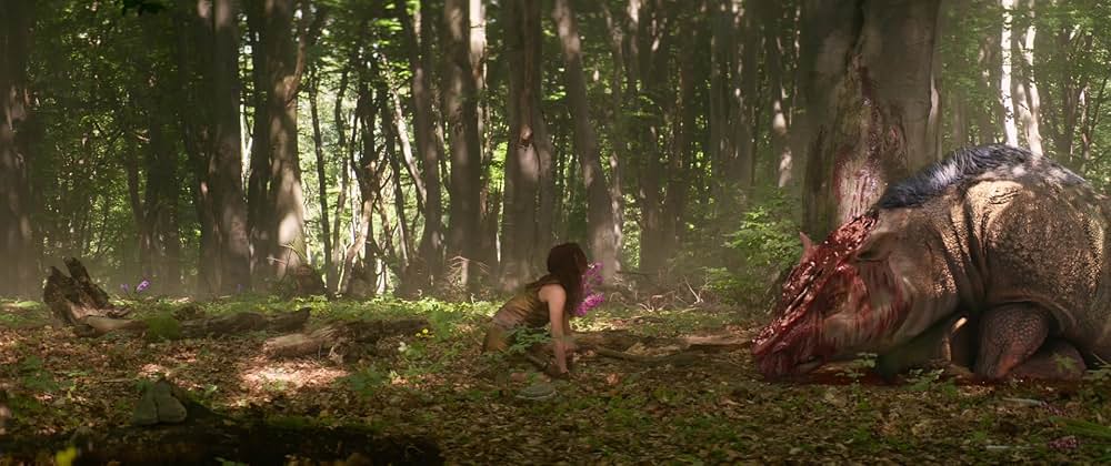 Red Sonja（原題）の画像