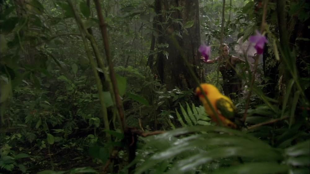 ライブラリアン 伝説の秘宝の画像