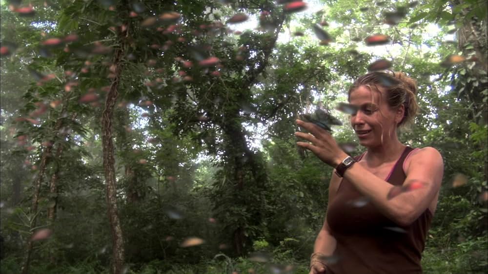 ライブラリアン 伝説の秘宝の画像