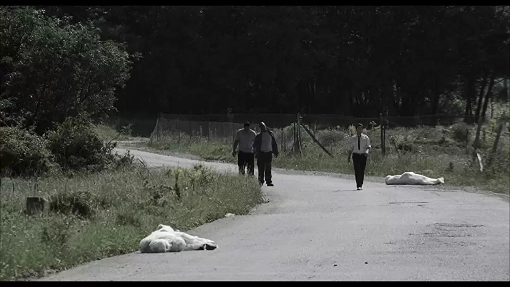 ビッグ・バグズ・パニックの画像