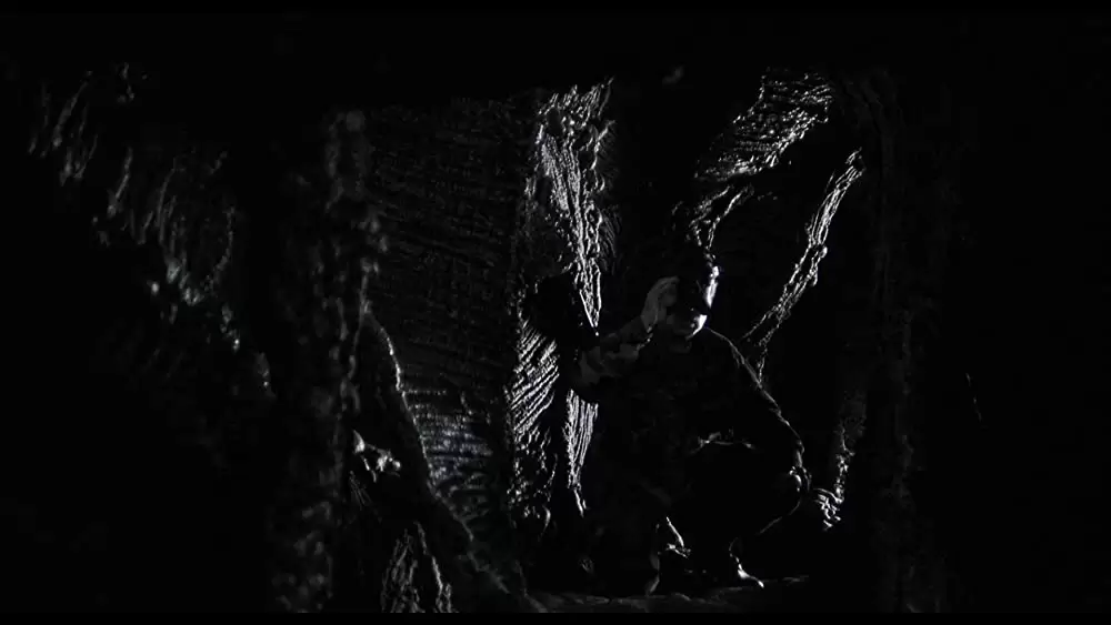 ビッグ・バグズ・パニックの画像