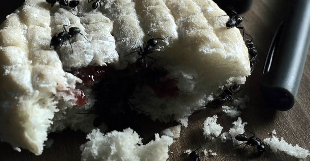 ビッグ・バグズ・パニックの画像