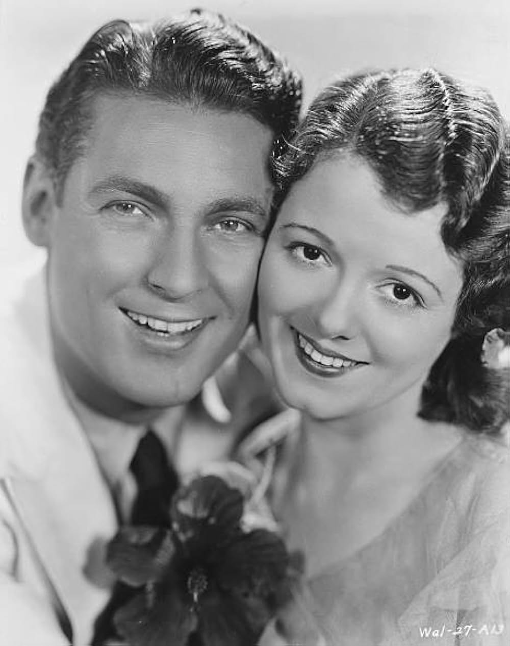 再生の港の画像