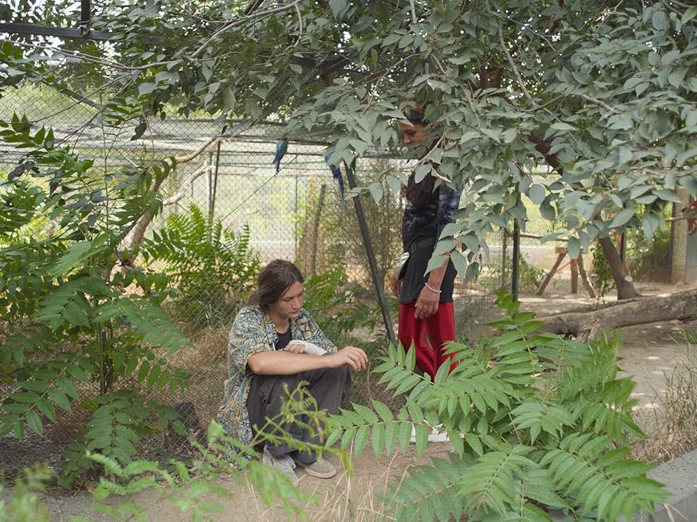 聖なる電灯の画像