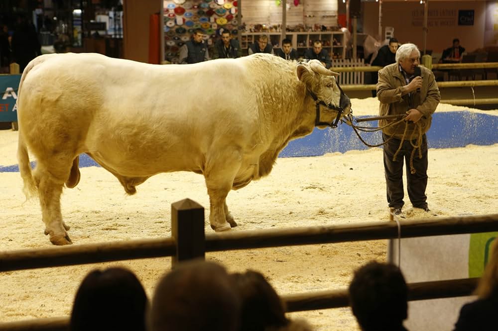 Saint Amour（原題）の画像