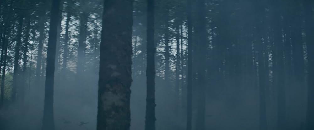 Popeye's Revenge（原題）の画像