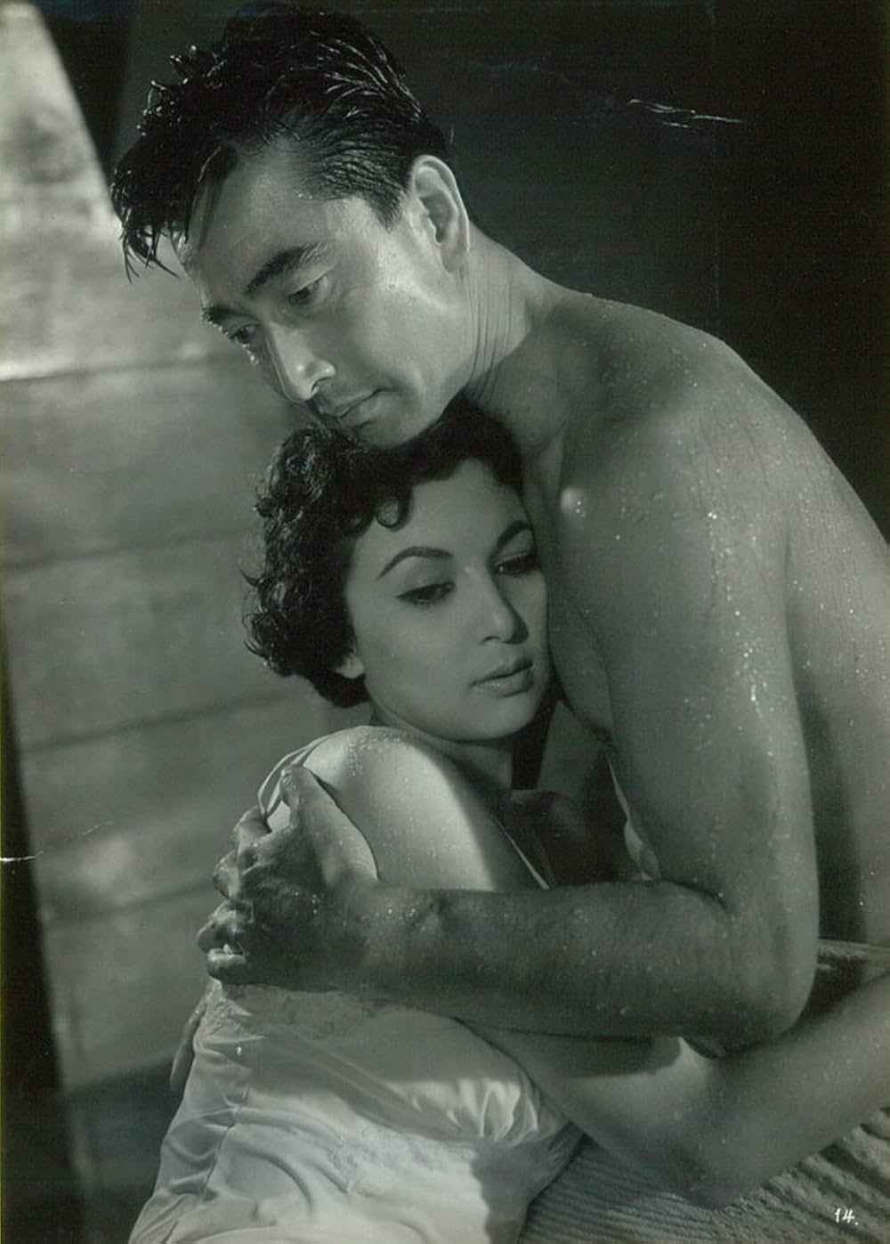 ソ連脱出 女軍医と偽狂人の画像