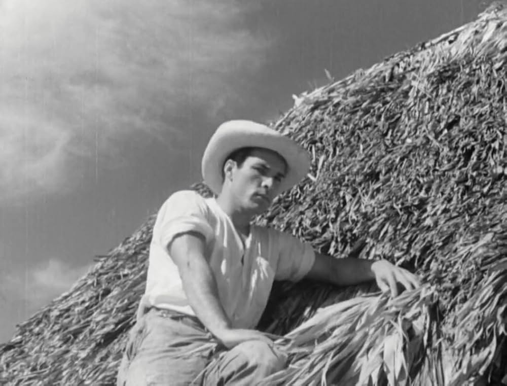 Redes（原題）の画像