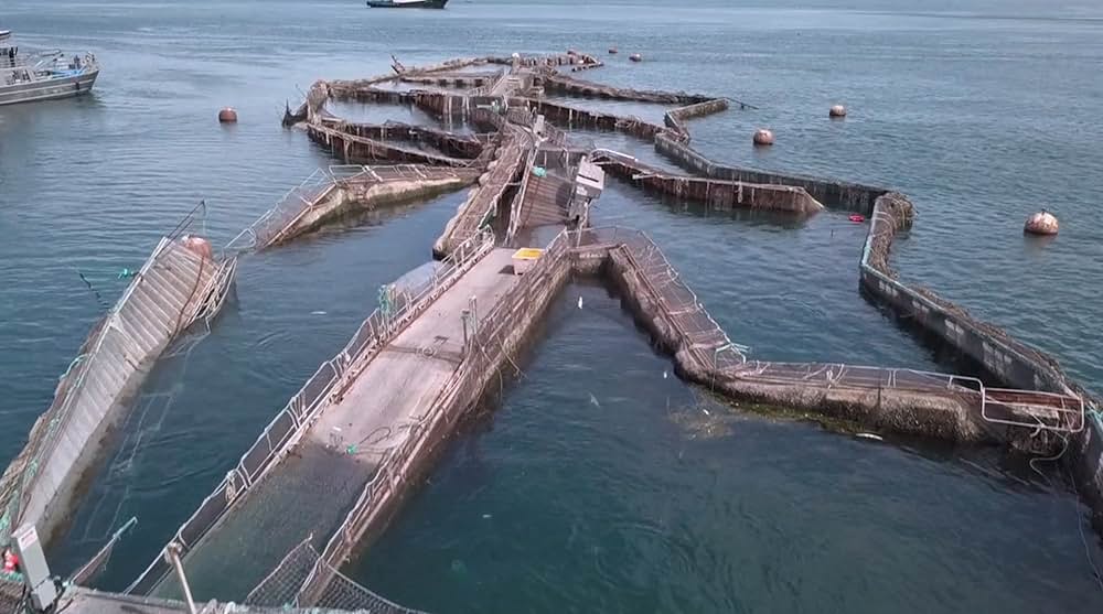 アーティフィッシャルの画像