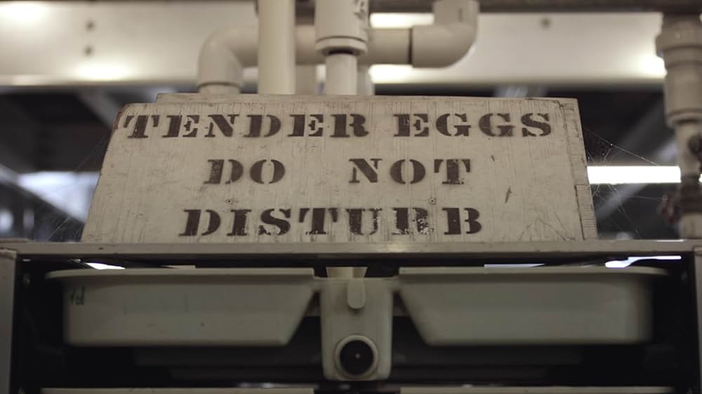 アーティフィッシャルの画像