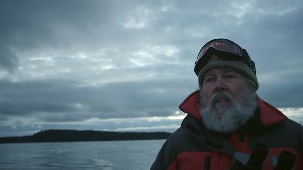 アーティフィッシャルの写真