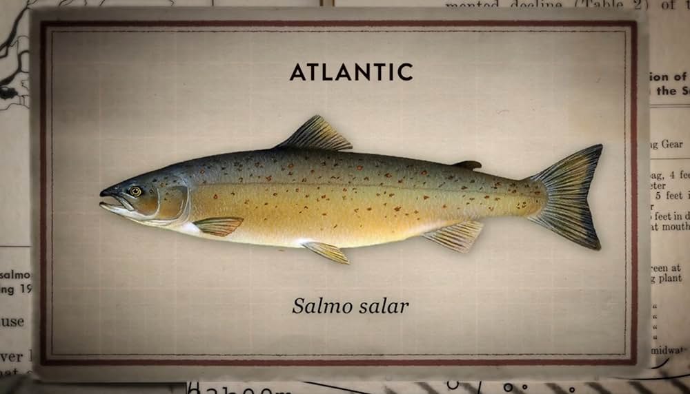 アーティフィッシャルの画像