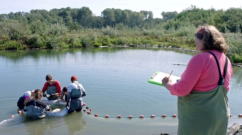 アーティフィッシャルの画像