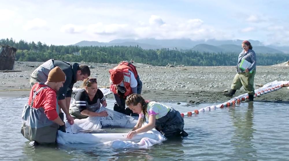 アーティフィッシャルの画像