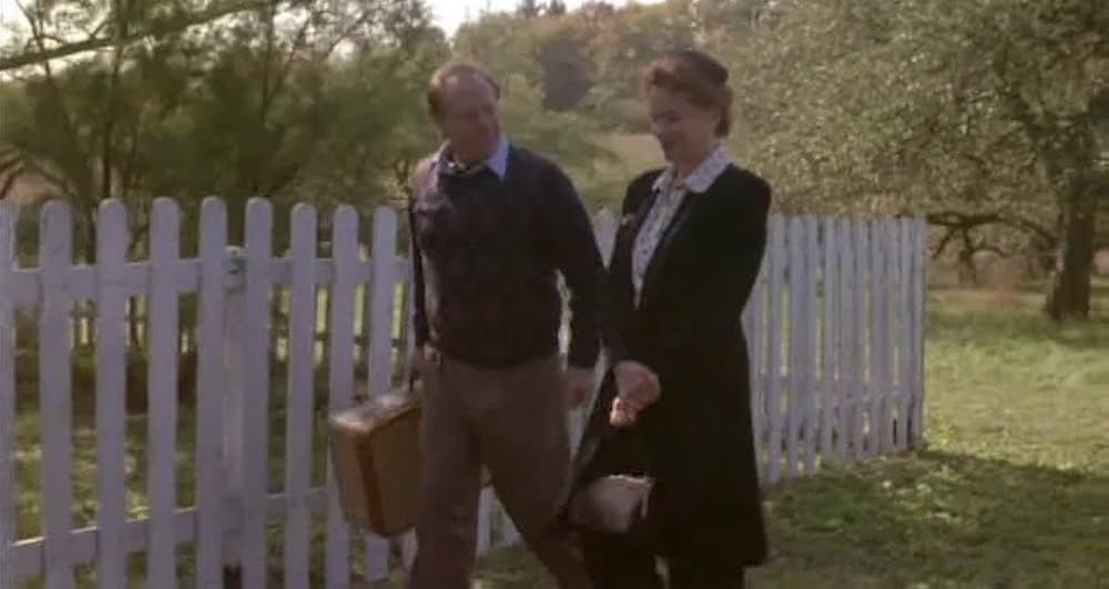 赤毛のアン 新たな始まりの画像