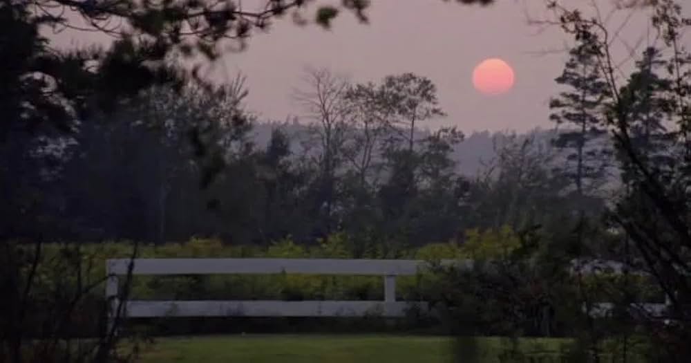 赤毛のアン 新たな始まりの画像