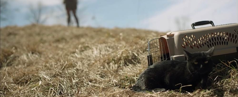 The Hexecutioners（原題）の写真