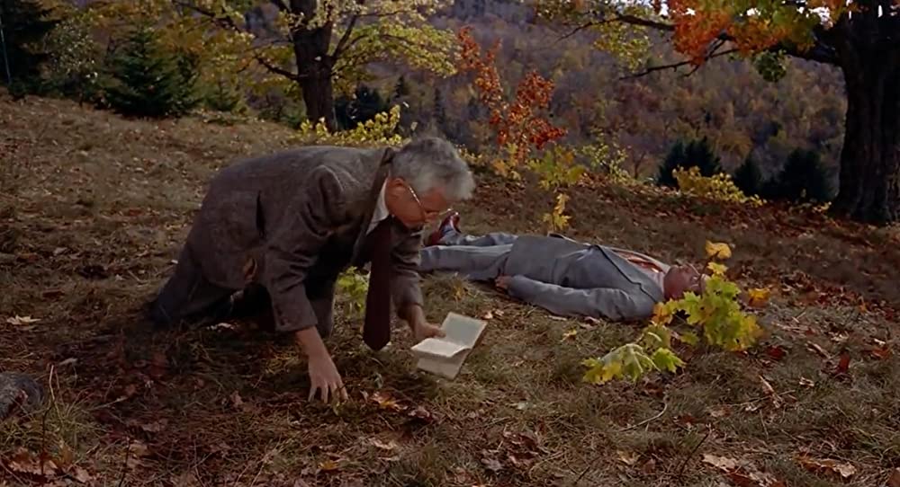 ハリーの災難の画像