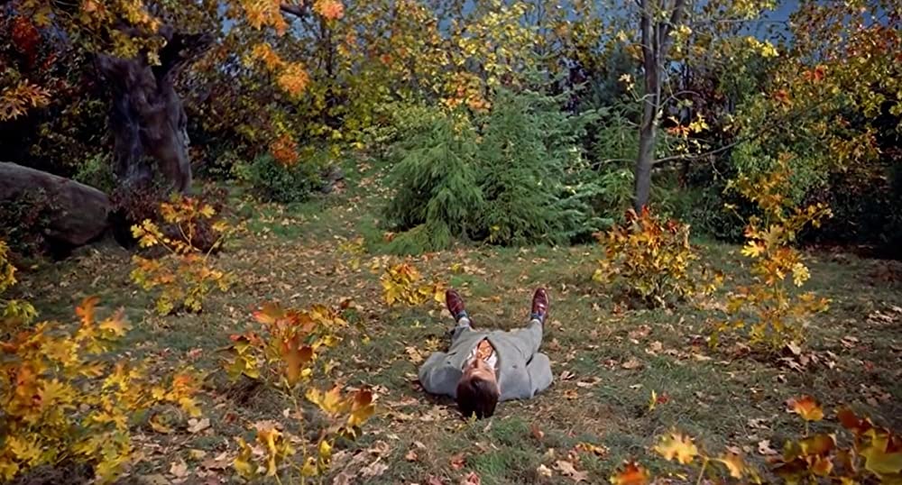 ハリーの災難の画像