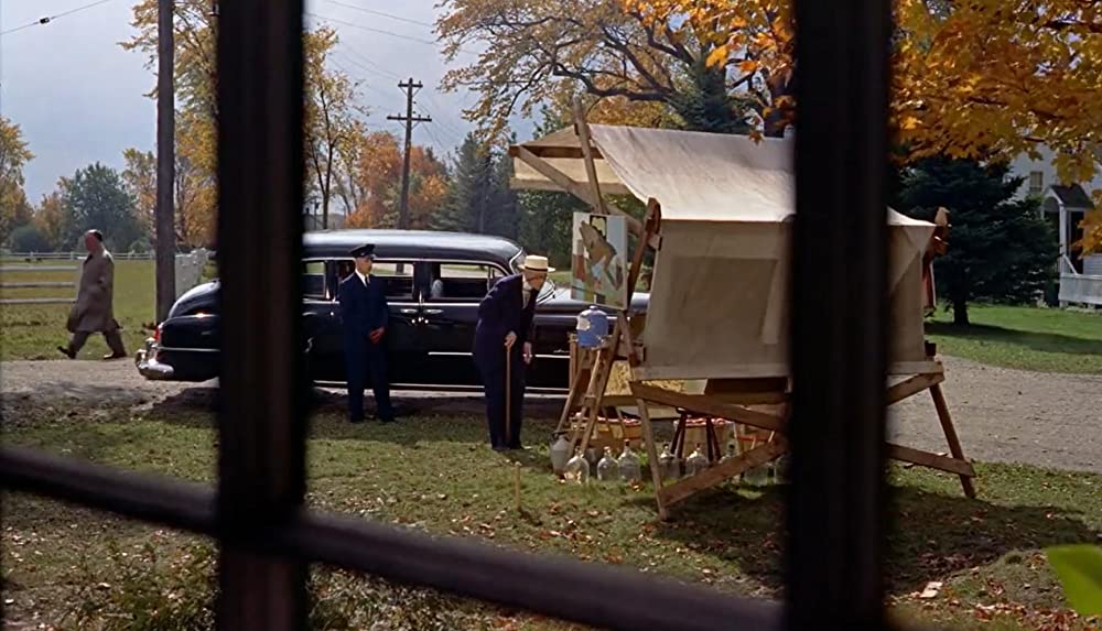 ハリーの災難の画像