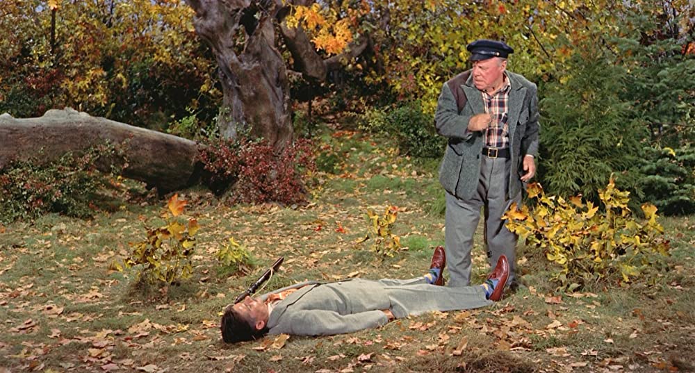 ハリーの災難の画像