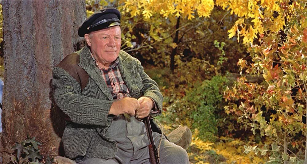 ハリーの災難の画像