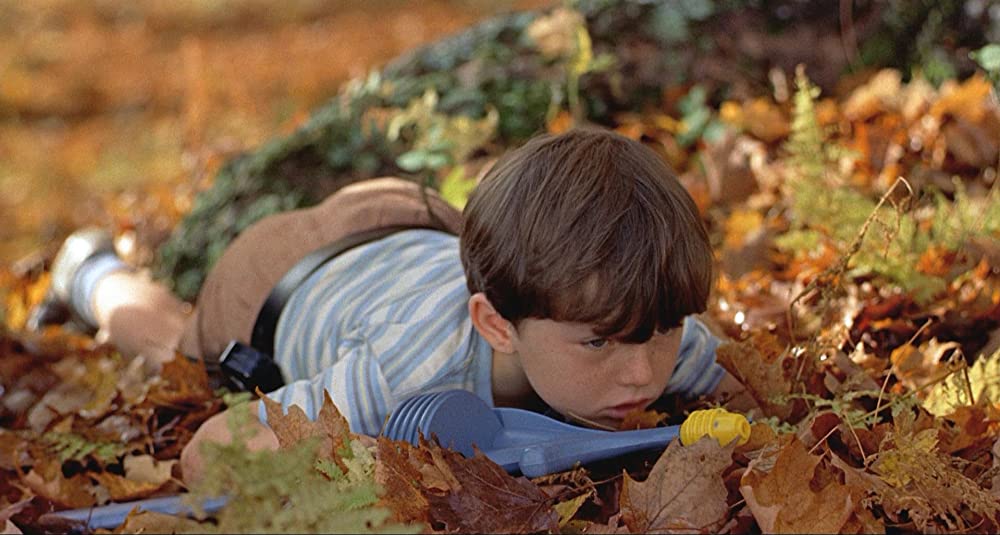 ハリーの災難の画像