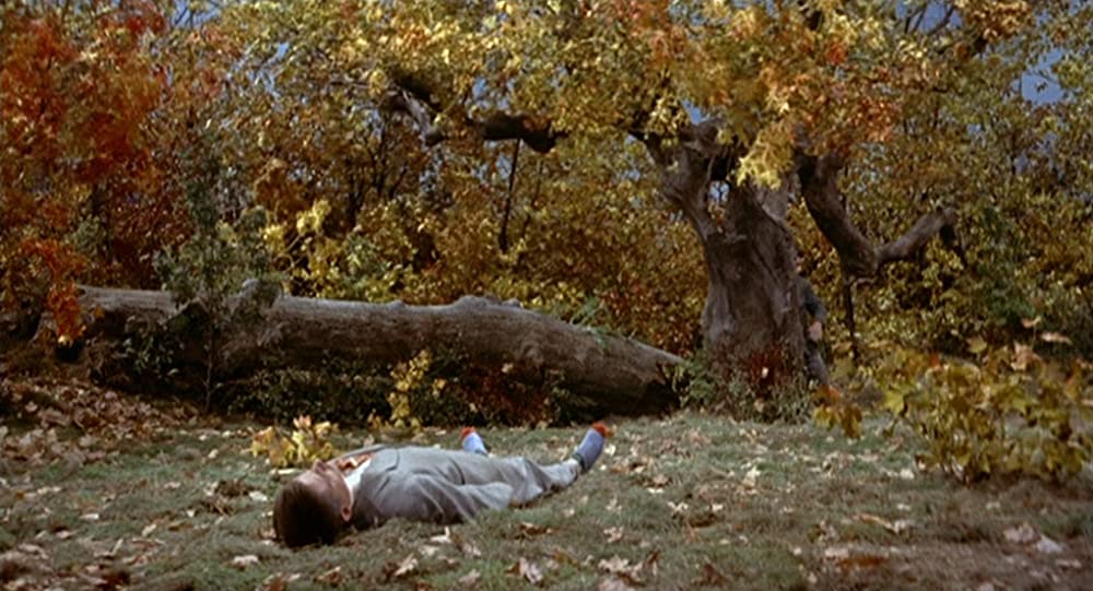 ハリーの災難の画像