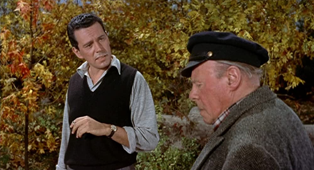 ハリーの災難の画像