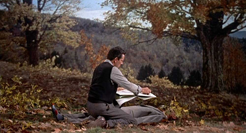 ハリーの災難の画像