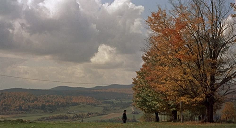 ハリーの災難の画像