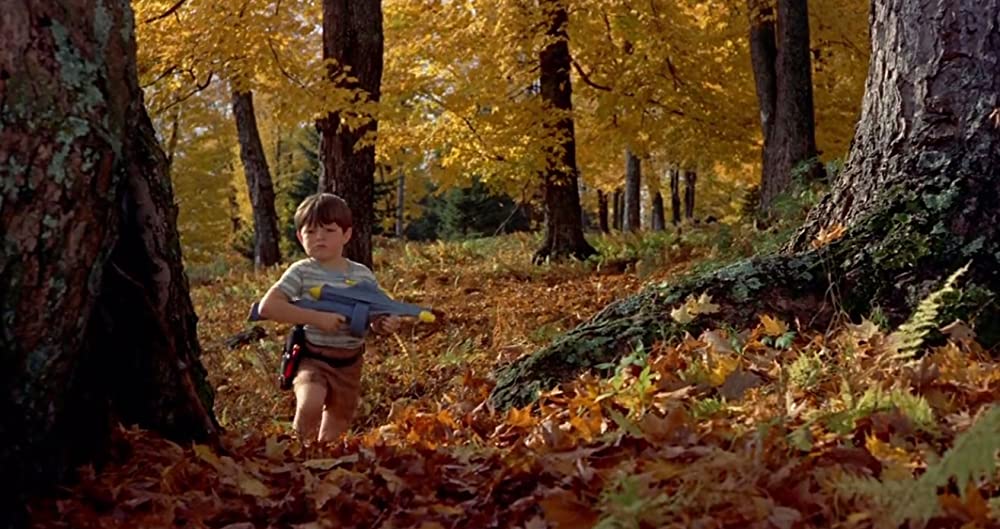 ハリーの災難の画像