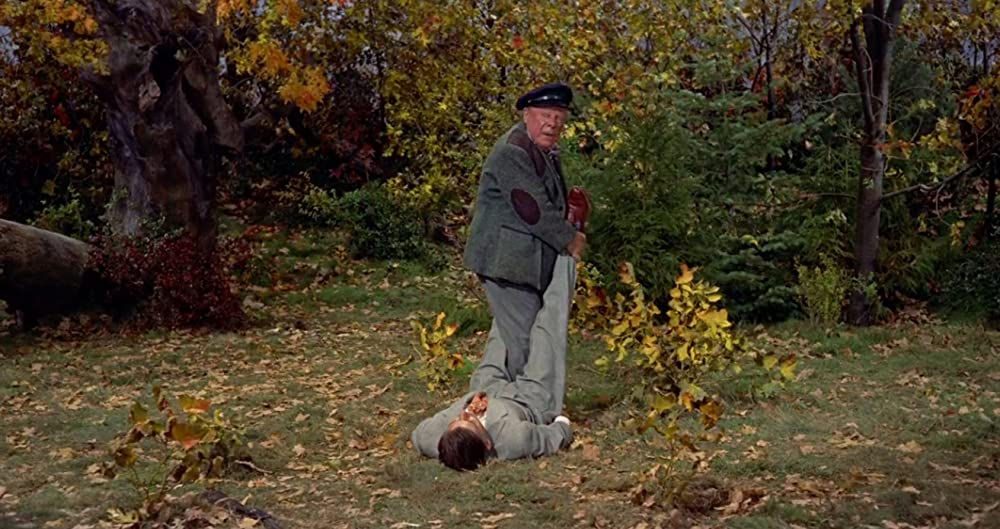 ハリーの災難の画像