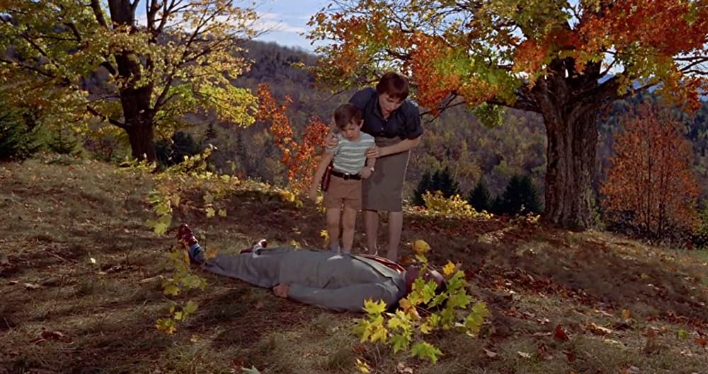 ハリーの災難の画像