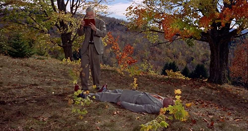 ハリーの災難の画像