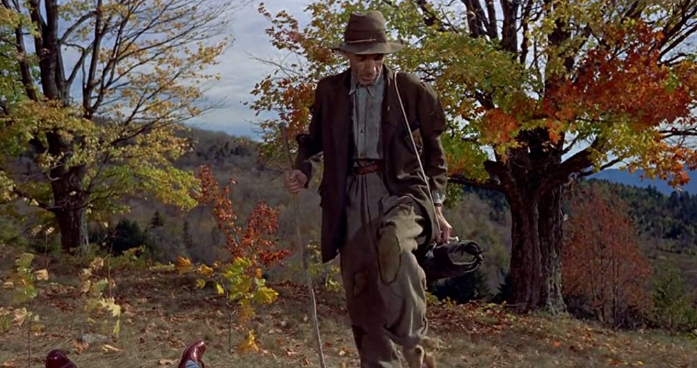 ハリーの災難の画像